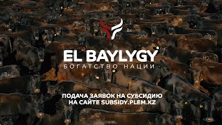 ПОДАЧА ЗАЯВОК НА СУБСИДИЮ НА САЙТЕ SUBSIDY.PLEM.KZ5.  РАБОТА С ЭЛЕКТРОННЫМИ СЧЕТАМИ ФАКТУР