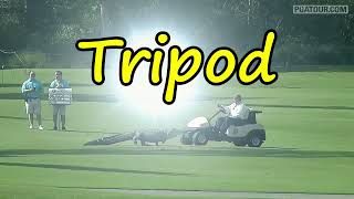 TRIPOD AT ZURICH CLASSIC