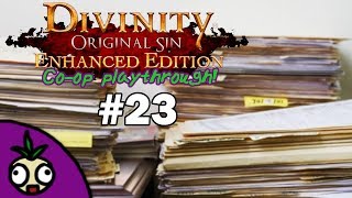 Filing the paperwork | Ankford & Friend Plays: Divinity Original Sin Co-op! | Part 23