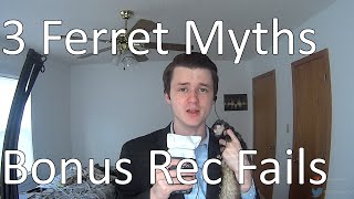 3 More Ferret Myths | Bonus Recording Fails