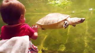 BÉBÉS ET ENFANTS À L'AQUARIUM