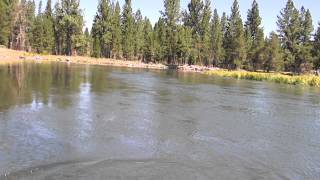 German Brown Trout Fishing