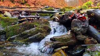 Beautiful waterfall 😍 nature sounds for relaxing sleep 😴🎧#waterfallsounds #naturesounds #nature#calm