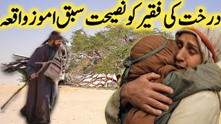 Drakat Ka Faqeer Ko Mashwara l Sabak Amoz Vakya l Latest Story In Urdu l Iman voice