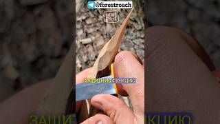 НУЖНА ЛИ НОЖУ ГАРДА? #forestroach #лес  #бушкрафт #выживание #wood #diy #forest