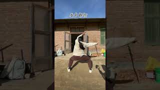 Tai chi Kungfu. Chinese kung fu, Shaolin Kungfu.Basic moves of Chen taijiquan. You can follow all