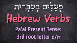 Hebrew Verbs: Pa'al Present Tense | 3rd root letter ח/ע