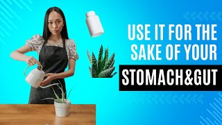 Use this to Heal your Stomach and Gut Now!