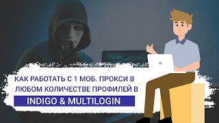 Как работать с 1 мобильного прокси в КУЧЕ профилей Indigo, Multilogin, Как импортировать куки. Обзор