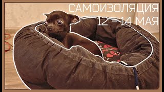 САМОИЗОЛЯЦИЯ//12-14 МАЯ