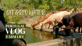 Off Grid Water - Things You Should Know - The Importance of Water When Living Off Grid. 💦🐐💦🐐🌱🌻