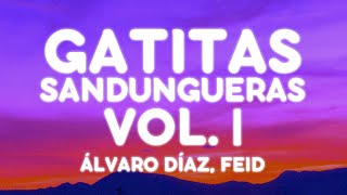 Alvaro Diaz, Feid - GATITAS SANDUNGUERAS VOL.1 (Letra/Lyrics)