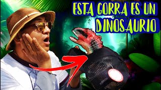 GORRA DE DINOSAURIO REVIEW