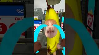 HELP Bananacat Get Bananas #gmod 😺🍌