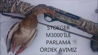 PARLAMA ÖRDEK AVI 2017, jump shooting ducks  ,caccia alle anatre-охота на утка-صيد البط