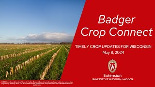 Badger Crop Connect 2024:Interacting with WI's Insect Pest Network and Alert System with Emily Bick