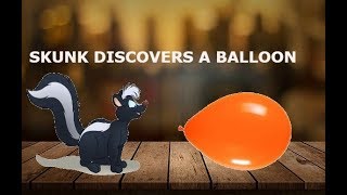 SKUNK DISCOVERS A BALLOON ???