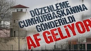 DÜZENLEME CUMHURBAŞKANINA GÖNDERİLDİ