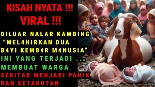 KISAH NYATA !!! VIRAL | FENOMENA ALAM BAYI KEMBAR LAHIR DIKANDANG KAMBING