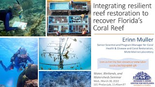 W3 seminar: Integrating resilient reef restoration to recover Florida’s Coral Reef