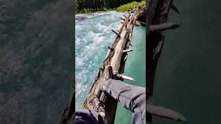 Kumrat Valley #shortvideo #shortvideos #travel