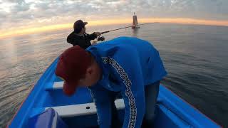 Gran pesca de dorados en Mazatlán Sinaloa con pulpos