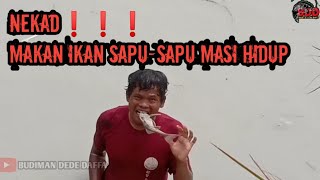 VIRAL❗ NEK4D ❗ Makan ikan sapu-sapu masi hidup