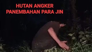 live misteri hutan sengkolo panembahan raja jin #automlencing