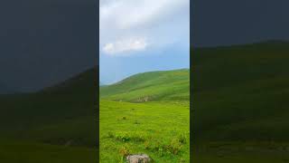 Most Beautiful Palanchai Meadows | Bahrain Swat Valley | #youtubeshorts | AkTheLion Vlogs