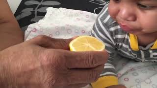 BABIES TASTING LEMON FOR THE FIRST TIME | #THELITTLES