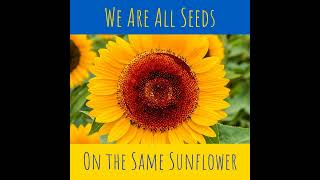 We Are All Seeds on the Same Sunflower - #PrayForPeace