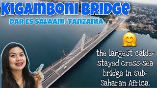 KIGAMBONI BRIDGE | NYERERE BRIDGE | Dar Es Salaam, Tanzania | Longest hanging bridge in Dar!