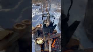 -36С Forest Camp Bushcraft 🥶🥶#outdoor #bushcraft