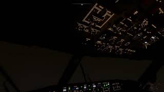 Manual Landing at Night in Rain | PMDG 737-800