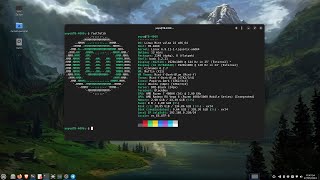 LIVE (27-07-2024) En Linux Mint 22 Wilma Cinnamon