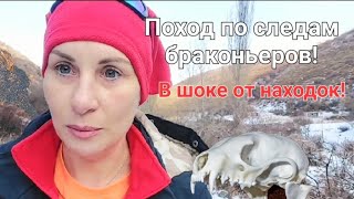 Петроглифы, череп, гейзер, следы зверей и браконьеров! Шок поход⛰️❤️Almaty Kazakhstan 🇰🇿