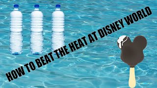 Staying Cool at the Walt Disney World Resort