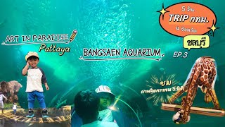 🚗Tripกทม. 5 วัน 4 จังหวัด EP3. 🐠🐋Art In Paradise Pattaya & Bangsaen Aquarium 🐳ชลบุรี [Gestalt’s Day]