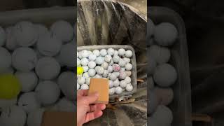 Golf is hard! #funny #fyp #shorts #foryou #viral #dad #woodworker #golf