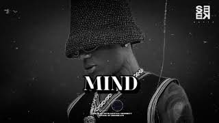 "MIND" | Wizkid x Chris Brown Afro R&B Type Beat | Afrobeat Instrumental 2024 | [DANCEHALL]