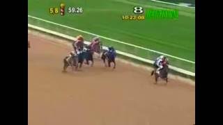 Horse racing oddity  incredible stretch run 2