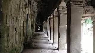 Ta Prohm Temple was built in the Bayon style largely was originally called Rajavihara 