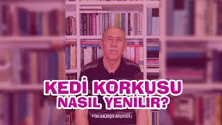 KEDİ KORKUSUNU NASIL YENEBİLİRİM? (Kedilerden Neden Korkarım?) Kedi Fobisi