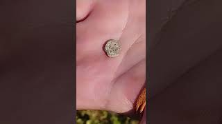 Нашли старинную пломбу Чай #shorts #другаяжизнь #metaldetecting #стариннаяпломба #чай #находки