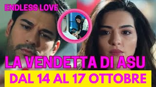 endless love dal 14 al 17 ottobre: Kemal o Emir chi vincerà questa battaglia per la verità su Deniz?