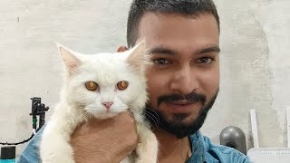 Cats Airdrop की बात चीत