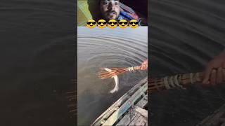 Undeliverable Underground Fishing Techinque, Monster Catfish Catch River Big Hole💞A Chicken Fishing