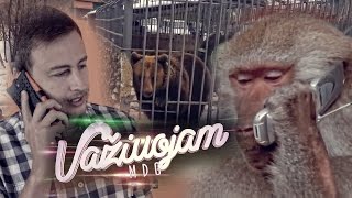 Važiuojam: zoologijos sodo aktoriai