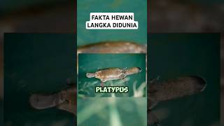 Fakta 2 hewan langka di dunia #shorts #faktamenarik #faktahewan