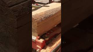 Pine on the woodmizer #woodmizer #sawmill